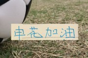 保利体育官方入口-如果没有罚分的话！申花应该是夺冠热门 而不是在保级区域擦边